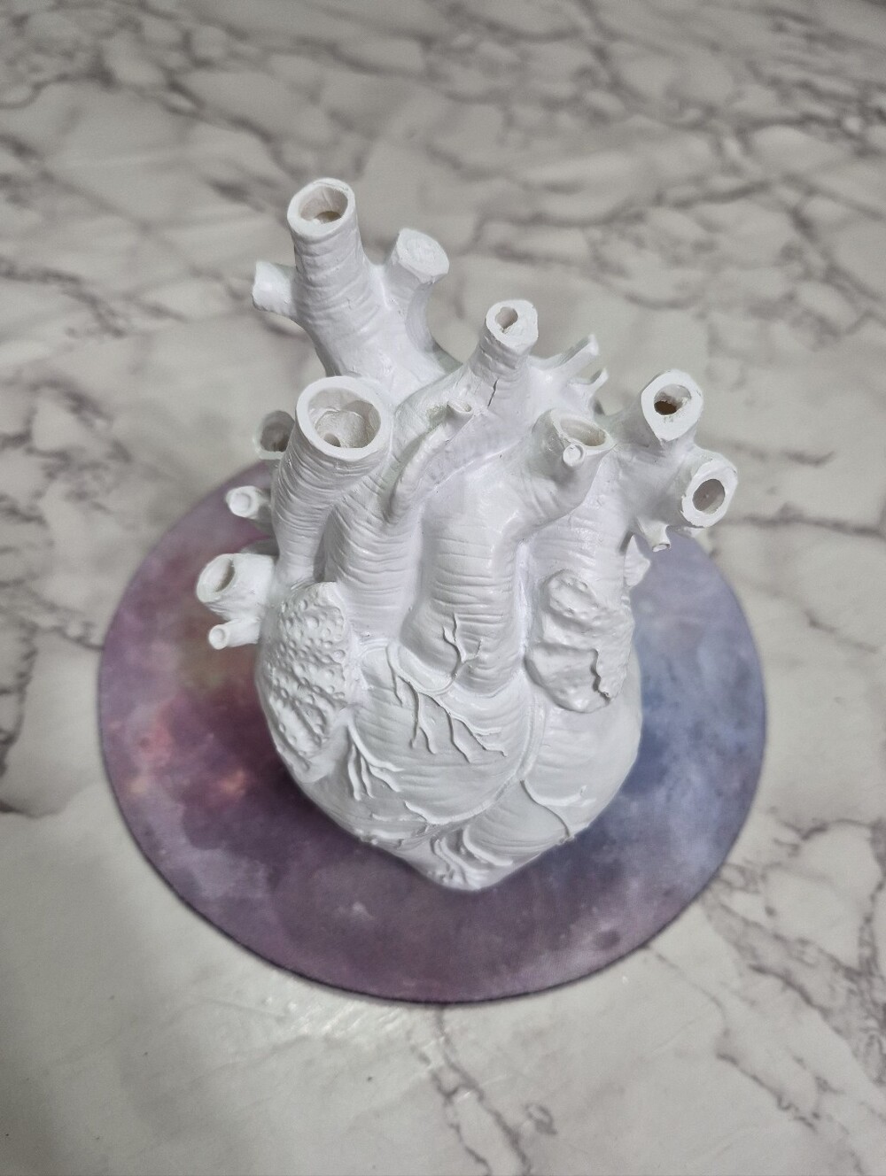 Anatomical Heart Decor
